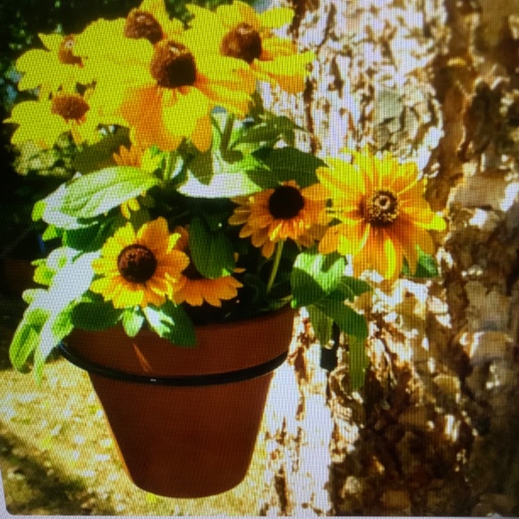 6-inch Black Steel Flower Pot Ring Bundle of 4 - Picture 8 of 8